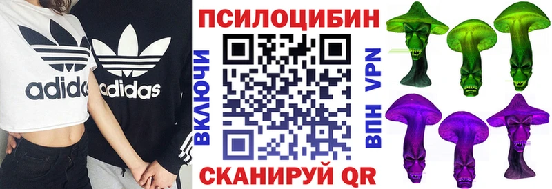 Галлюциногенные грибы Psilocybine cubensis  Кемь 